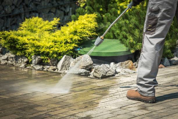 Best Roof Washing  in Racine, WI